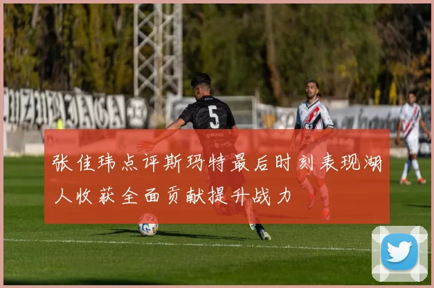 张佳玮点评斯玛特最后时刻表现湖人收获全面贡献提升战力